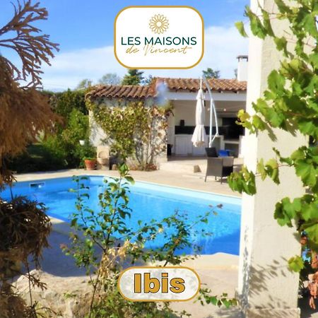 Ibis - Villa Avec Piscine, Jardin Et Parking Arles Eksteriør billede