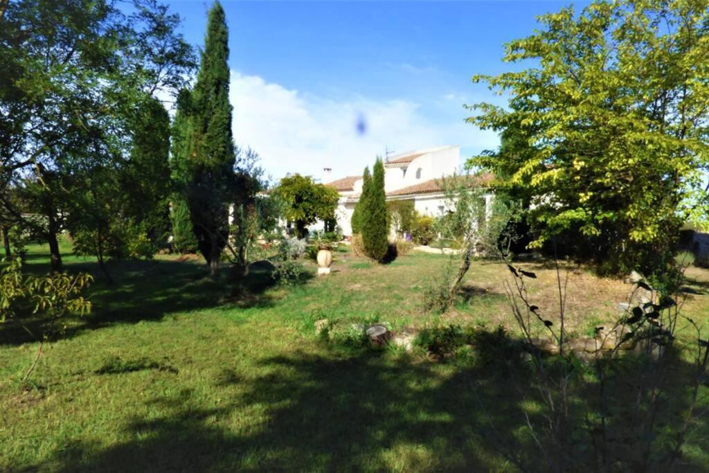 Ibis - Villa Avec Piscine, Jardin Et Parking Arles Eksteriør billede