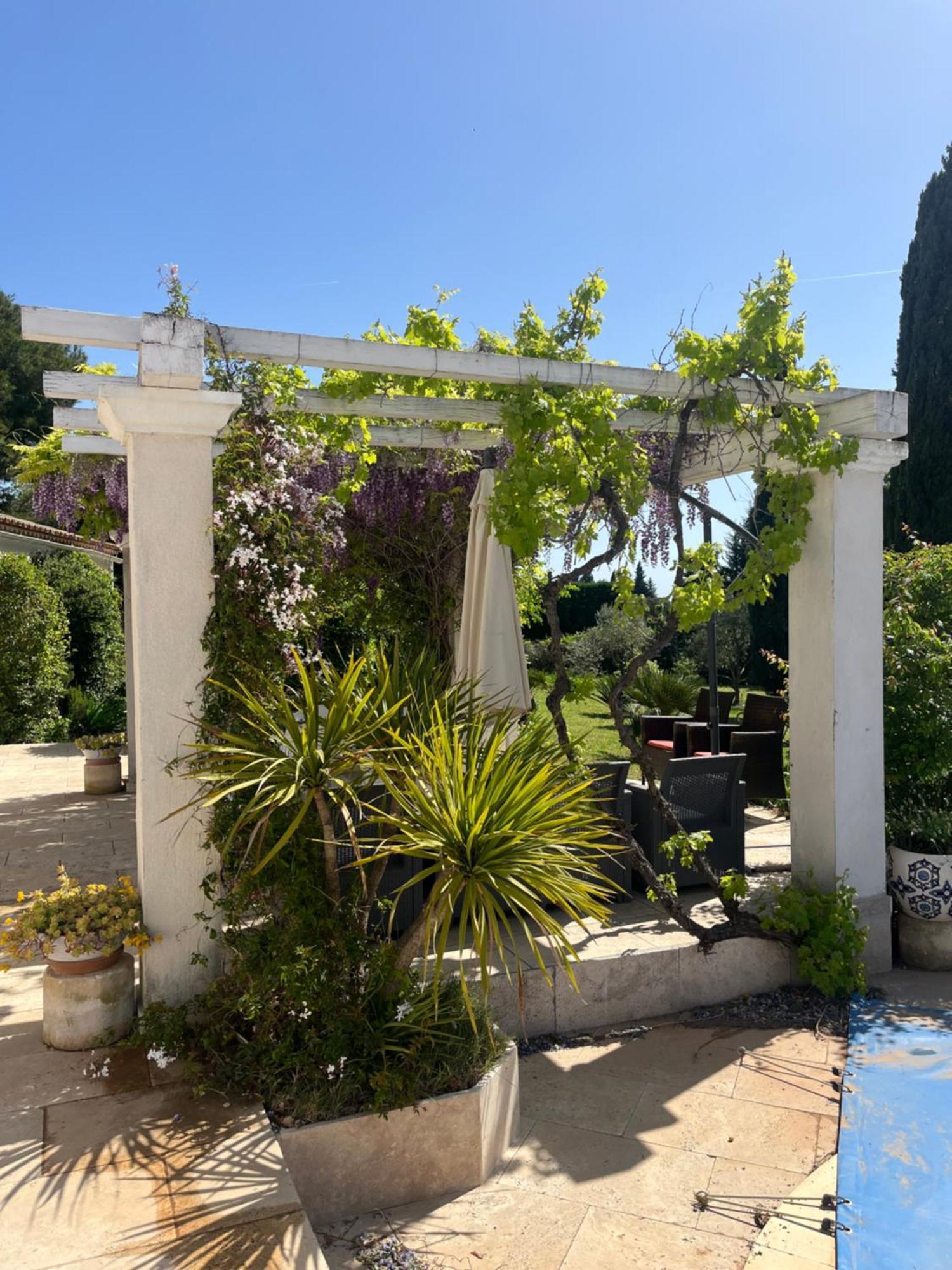 Ibis - Villa Avec Piscine, Jardin Et Parking Arles Eksteriør billede